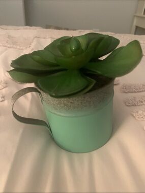 Green Succulent in Mint Green Metal Planter - Home Accents